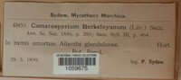 Image Associated With the Occurence